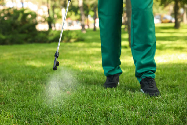 Best Pest Removal Services  in Tipton, IN