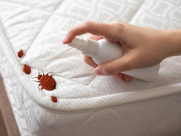 Best Mosquito Control Services  in Tipton, IN