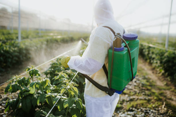 Professional Pest Control in Tipton, IN